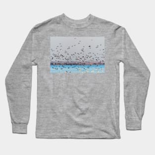 And Then The Cormorants Arrived Long Sleeve T-Shirt